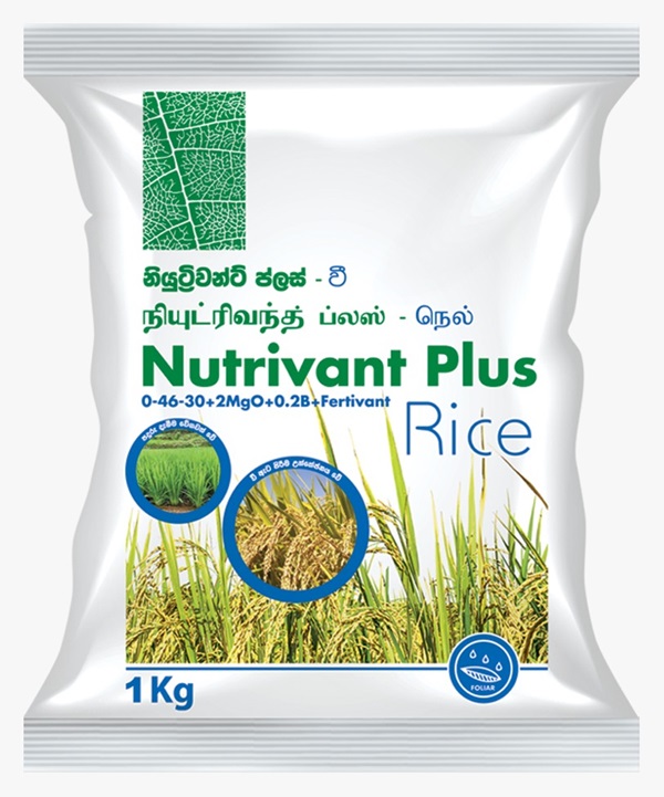 Saruliyadda Product 2